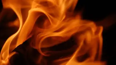 Zakon.kz, фото - Новости Zakon.kz от 16.01.2017 15:27