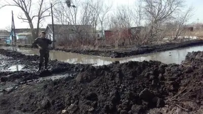 Zakon.kz, фото - Новости Zakon.kz от 29.04.2017 02:09