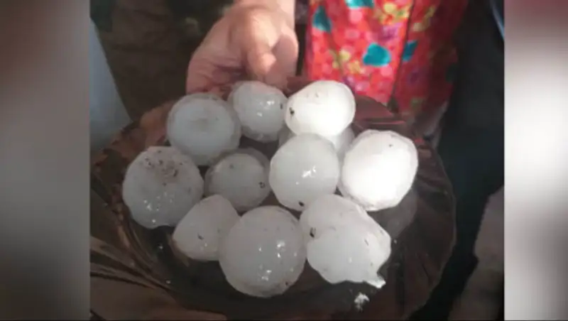 Град размером с куриное яйцо выпал в Акмолинской области