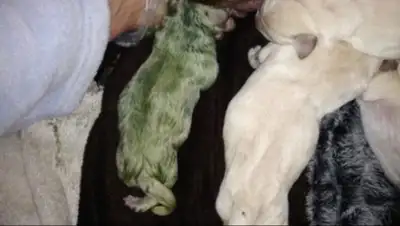 Zakon.kz, фото - Новости Zakon.kz от 07.02.2017 16:02