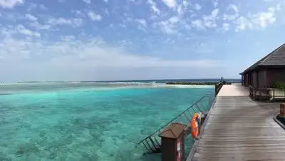 pixabay.com, фото - Новости Zakon.kz от 26.04.2021 17:23