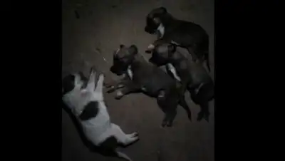 Zakon.kz, фото - Новости Zakon.kz от 09.11.2017 07:22