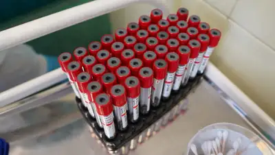 vladnews.ru, фото - Новости Zakon.kz от 31.03.2020 20:48