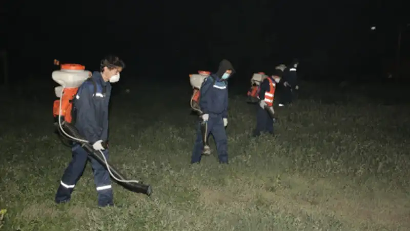 В Нур-Султане продолжаются дезинсекционные работы против мошек и комаров