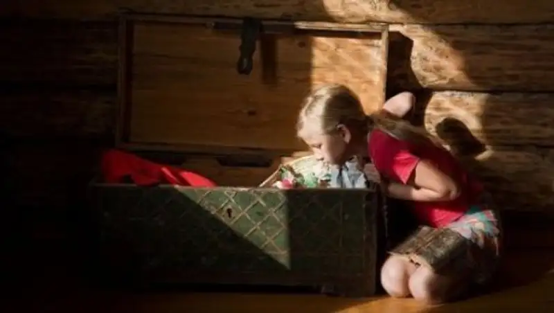 Тела двух детей обнаружили в сундуке в частном доме в Алматинской области