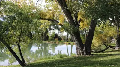 Pixabay, фото - Новости Zakon.kz от 02.06.2020 13:25