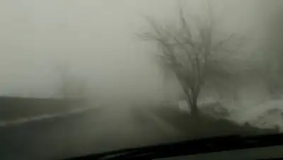 из открытых источников, фото - Новости Zakon.kz от 18.01.2019 09:29