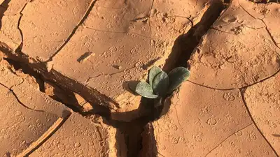 Засуху в мае спрогнозировали в одном из регионов Казахстана, фото - Новости Zakon.kz от 03.05.2023 09:28