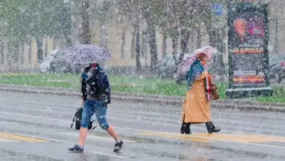 Zakon.kz, фото - Новости Zakon.kz от 28.09.2017 09:27