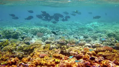 Zakon.kz, фото - Новости Zakon.kz от 16.11.2014 22:14