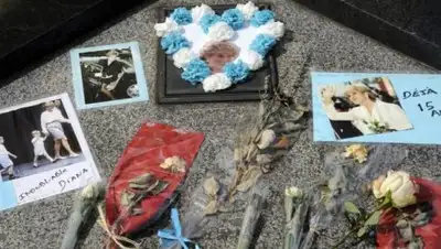 Zakon.kz, фото - Новости Zakon.kz от 29.01.2017 18:14