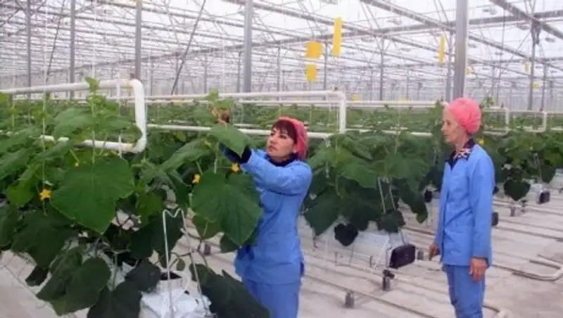 ЮКО лидирует по применению передовых технологий