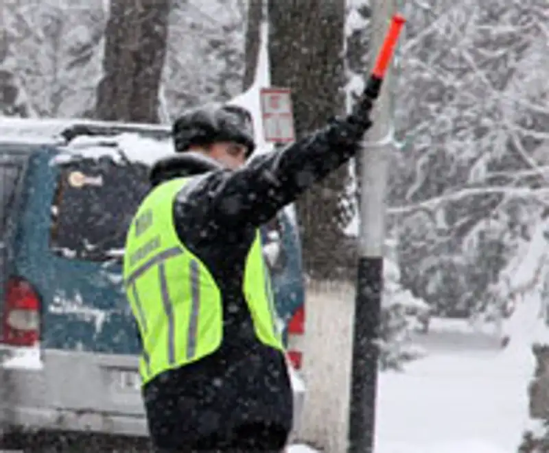 23 ноября - День дорожной полиции