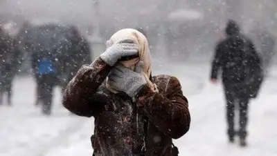 24.kz, фото - Новости Zakon.kz от 29.01.2019 16:43