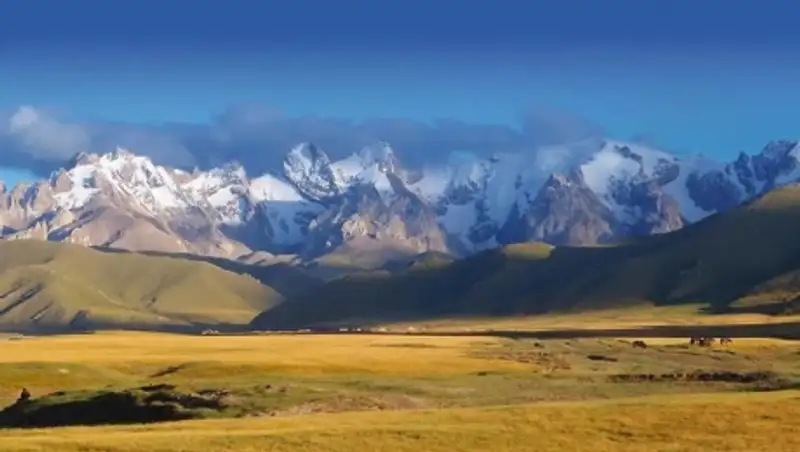 Решать спорные вопросы посредством цивилизованного диалога призывают актюбинские активисты