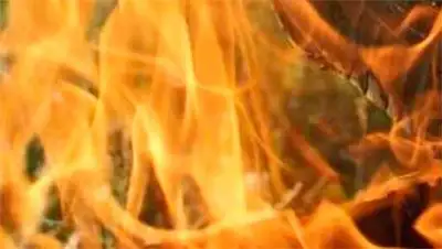 Zakon.kz, фото - Новости Zakon.kz от 17.02.2014 15:50