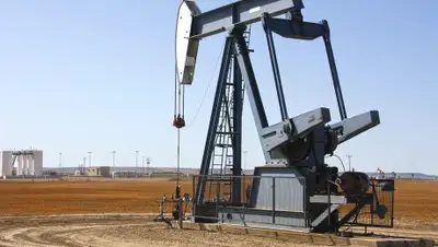 Pixabay, фото - Новости Zakon.kz от 08.03.2020 09:49