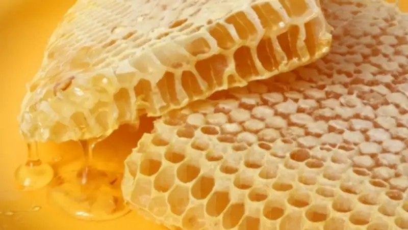 Пограничники обнаружили более тонны контрабандного меда на казахстанско-китайской границе