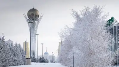 Zakon.kz, фото - Новости Zakon.kz от 08.02.2017 00:36