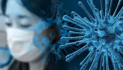 pixabay, фото - Новости Zakon.kz от 09.07.2021 08:00