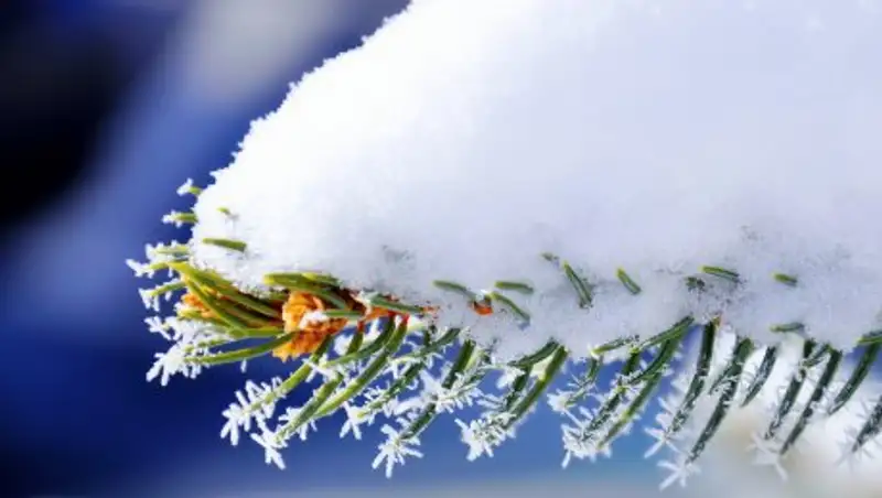 Неустойчивая погода сохранится в Казахстане во вторник