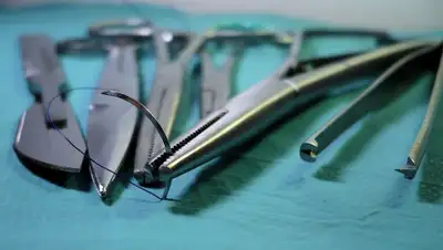 Pixabay, фото - Новости Zakon.kz от 28.07.2020 20:18