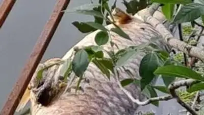 Мертвую рыбу в реке нашли дачники Уральска , фото - Новости Zakon.kz от 26.07.2023 04:48