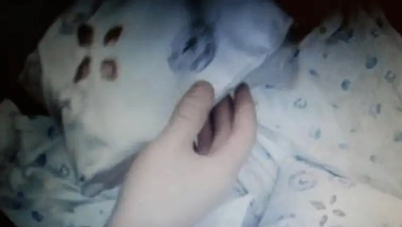 В Кызылорде пресекли транснациональный наркоканал, фото - Новости Zakon.kz от 07.12.2013 02:00