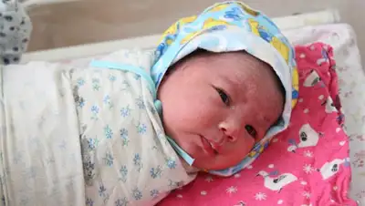 Zakon.kz, фото - Новости Zakon.kz от 20.11.2013 17:45