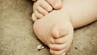 Zakon.kz, фото - Новости Zakon.kz от 15.03.2017 01:09