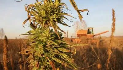 РИА Новости, фото - Новости Zakon.kz от 03.12.2017 17:06