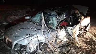 Zakon.kz, фото - Новости Zakon.kz от 15.02.2018 09:34