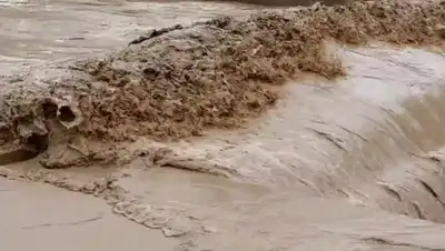 Zakon.kz, фото - Новости Zakon.kz от 24.05.2017 14:21