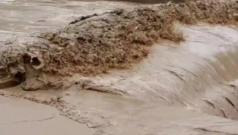 Больше десятка домов остаются в опасности в поселке Бурабай Алматинской области