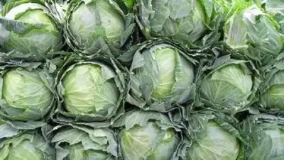 Zakon.kz, фото - Новости Zakon.kz от 24.03.2017 21:38