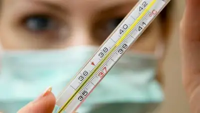 Zakon.kz, фото - Новости Zakon.kz от 30.01.2017 23:44