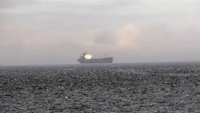 РИА Новости / Владимир Вяткин, фото - Новости Zakon.kz от 17.01.2021 18:04