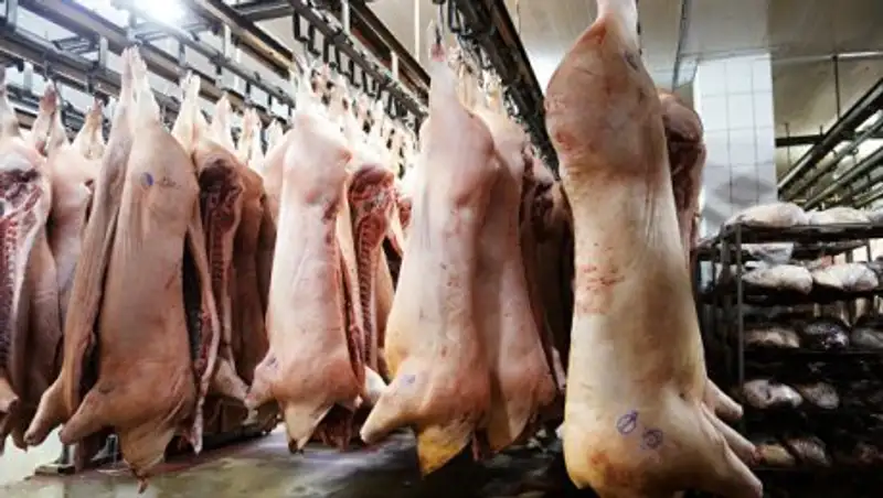 Мясники сорвали фестиваль веганов во Франции