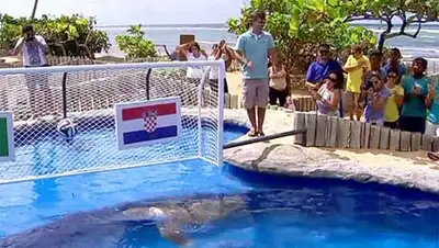 Zakon.kz, фото - Новости Zakon.kz от 11.06.2014 17:16