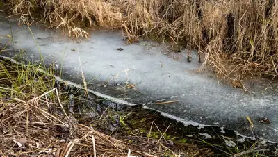 ЗКО режим ЧС, фото - Новости Zakon.kz от 02.04.2022 09:50