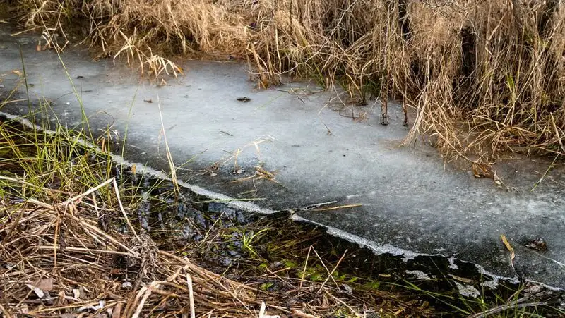 Режим ЧС объявили в двух районах ЗКО