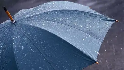 Zakon.kz, фото - Новости Zakon.kz от 26.05.2016 12:00