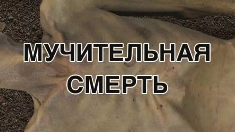 Как выглядят новые предупреждения о вреде курения