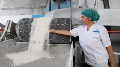 Казахстан сможет обеспечить себя сахаром на 49%, фото - Новости Zakon.kz от 26.07.2022 12:07