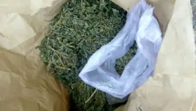 Zakon.kz, фото - Новости Zakon.kz от 27.04.2017 19:44