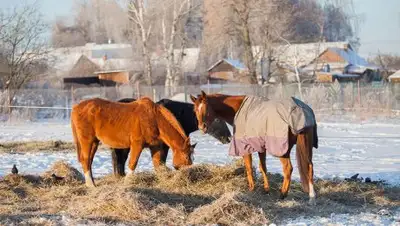 ВКонтакте, фото - Новости Zakon.kz от 30.11.2018 23:25