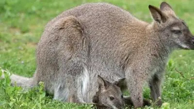 Zakon.kz, фото - Новости Zakon.kz от 11.05.2015 13:10