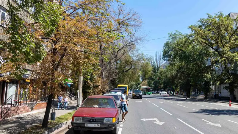 В Алматинской области таксисты "Яндекса" вышли на акцию протеста