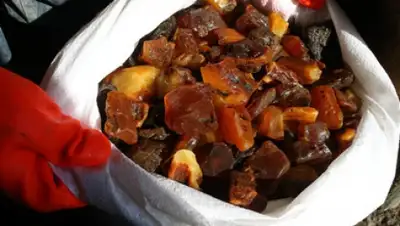 Zakon.kz, фото - Новости Zakon.kz от 04.10.2015 01:33