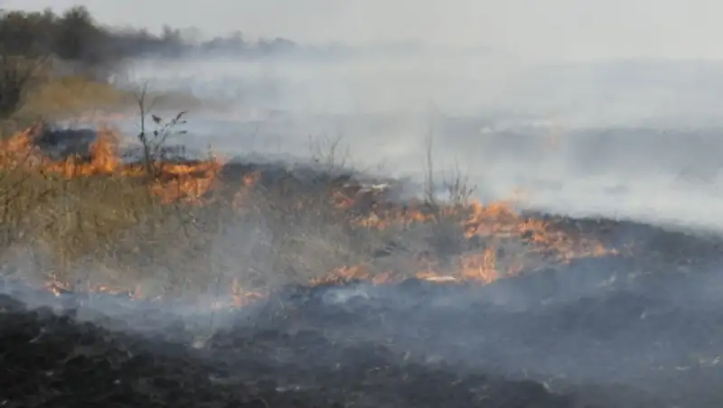 Пожарные второй день тушат степной пожар в ВКО